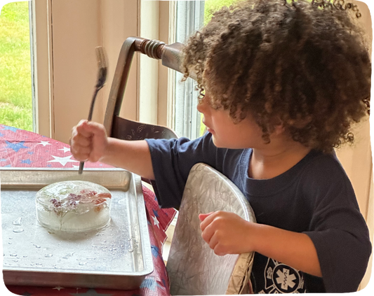 LIttle boy at a table poking a fork into a piece of ice with a flower frozen into it