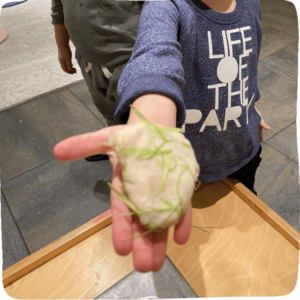 Play dough in child's hands with grass mixed into it