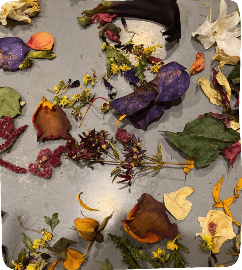 Close up image of dried flowers on a tray for kids to play with nature.