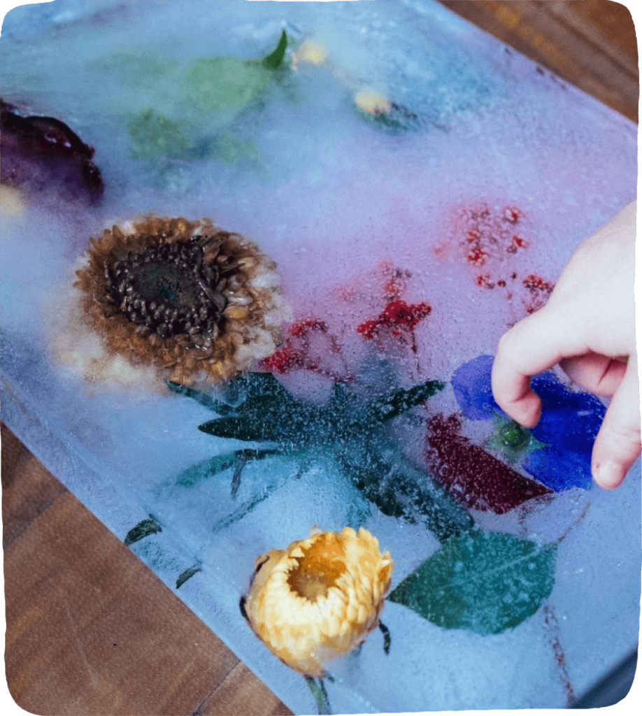 Close up image of flowers frozen in ice - activity ideas for play with nature