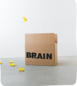 Cardboard box with the word brain on it.